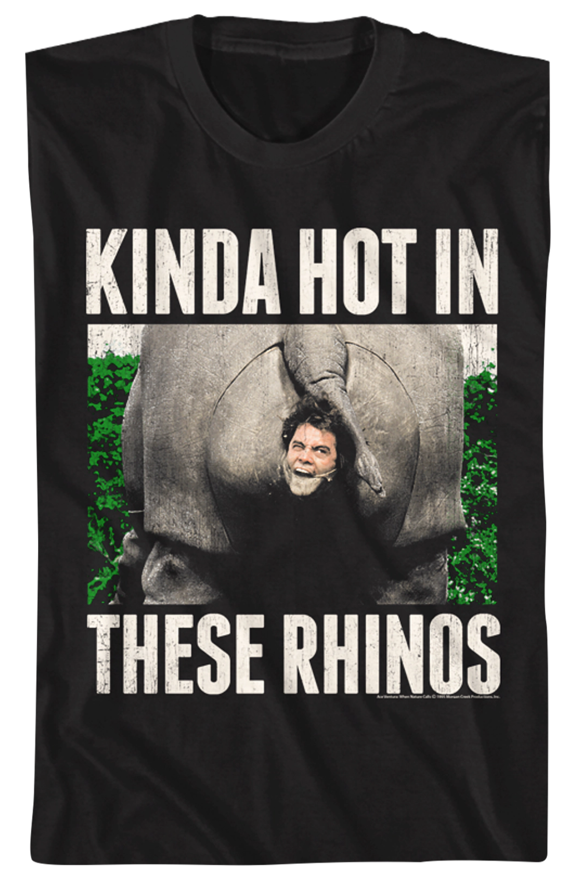 Kinda Hot In These Rhinos Ace Ventura T-Shirt Hoodie, Sweatshirt | CiraTrend.com (Image 2)