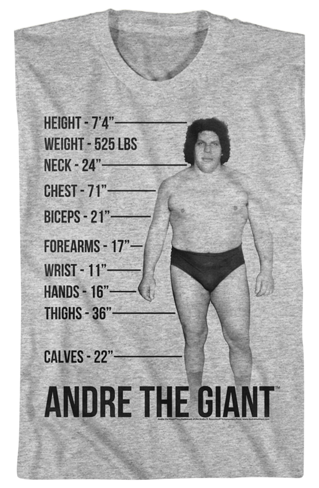 Measurements Andre Giant T-Shirts, Hoodie, Sweatshirt