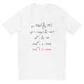 Math Xmas T-Shirt Hoodie, Sweatshirt | CiraTrend.com (Image 1)