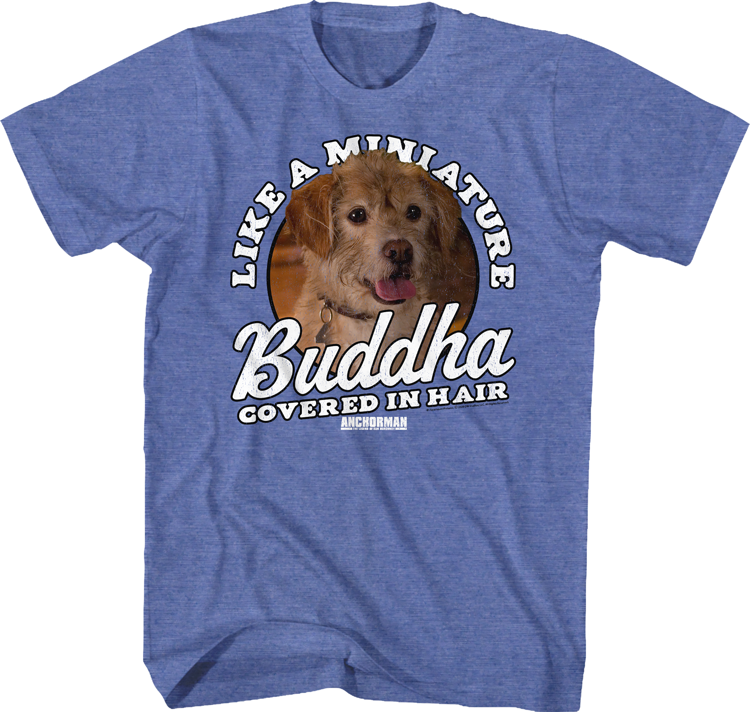 Miniature Buddha Covered In Hair Anchorman T-Shirt Hoodie, Sweatshirt | CiraTrend.com (Image 1)