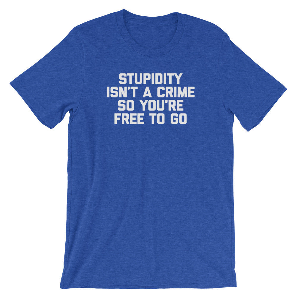 Stupidity Isn't A Crime So You're Free To Go T-Shirt (Unisex) Hoodie, Sweatshirt | CiraTrend.com (Image 1)