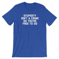 Stupidity Isn't A Crime So You're Free To Go T-Shirt (Unisex) Hoodie, Sweatshirt | CiraTrend.com (Image 1)