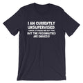 I Am Currently Unsupervised T-Shirt (Unisex) Hoodie, Sweatshirt | CiraTrend.com (Image 1)