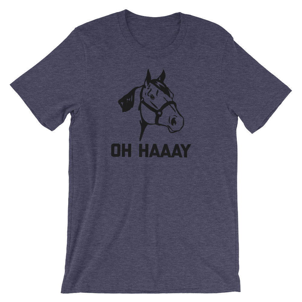 Oh Haaay T-Shirt (Unisex) Hoodie, Sweatshirt | CiraTrend.com (Image 5)