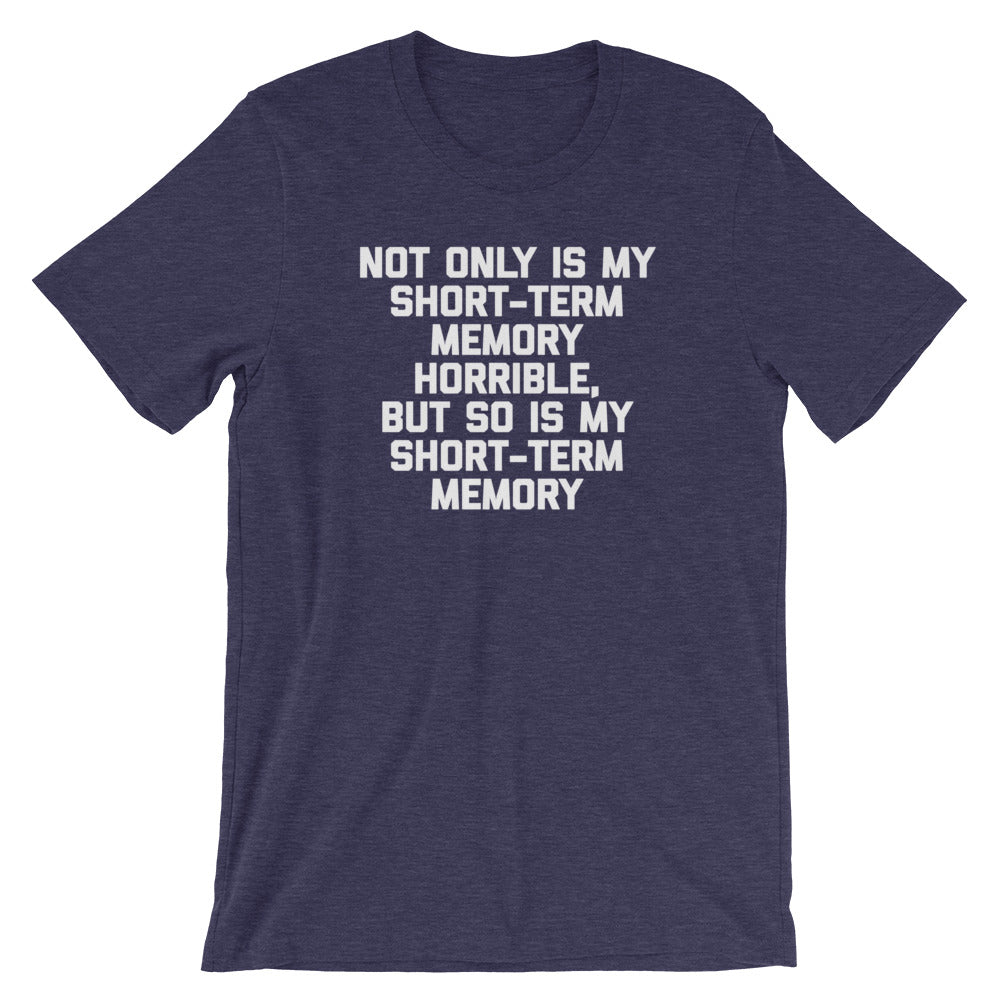 Not Only Is My Short-Term Memory Horrible, But So Is My Short-Term Memory T-Shirt (Unisex) Hoodie, Sweatshirt (Image 1)