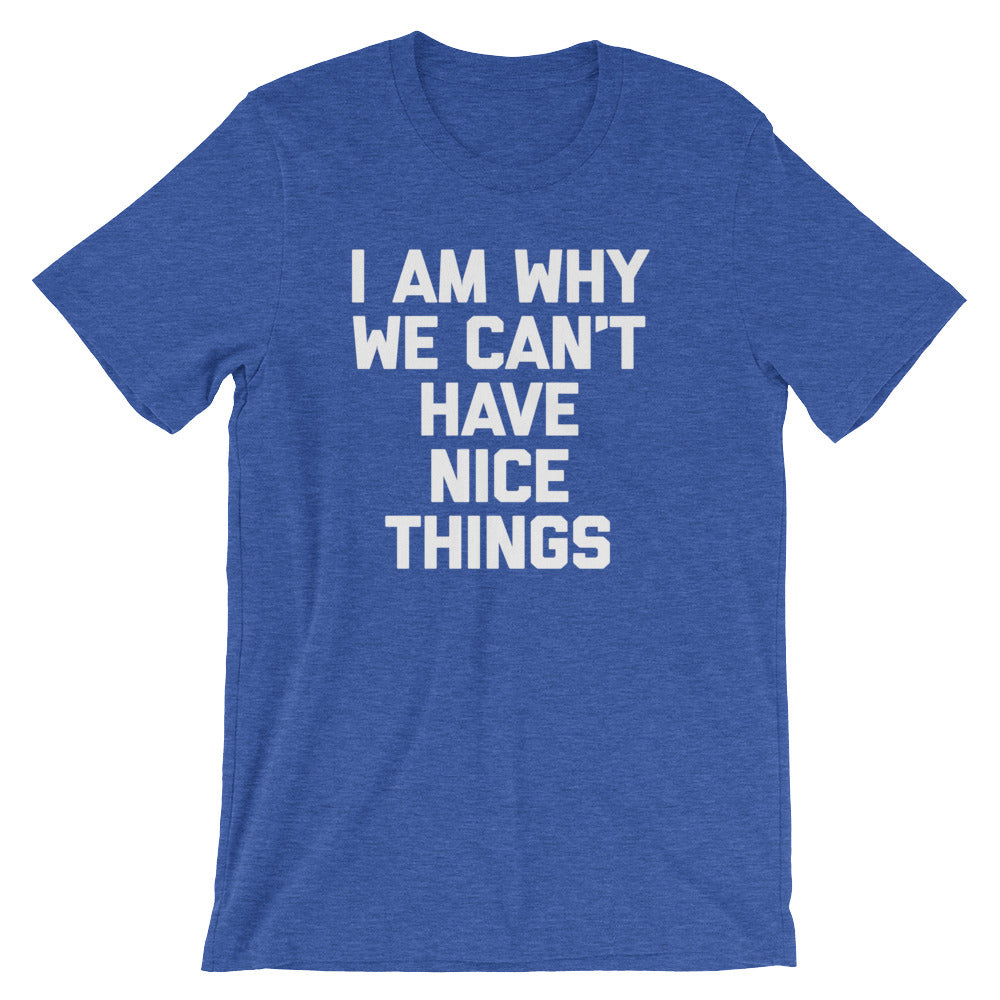 I Am Why We Can't Have Nice Things T-Shirt (Unisex) Hoodie, Sweatshirt | CiraTrend.com (Image 1)