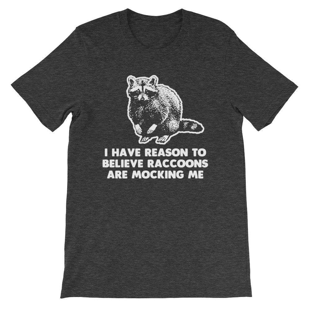 I Have Reason To Believe Raccoons Are Mocking Me T-Shirt (Unisex) Hoodie, Sweatshirt | CiraTrend.com (Image 1)