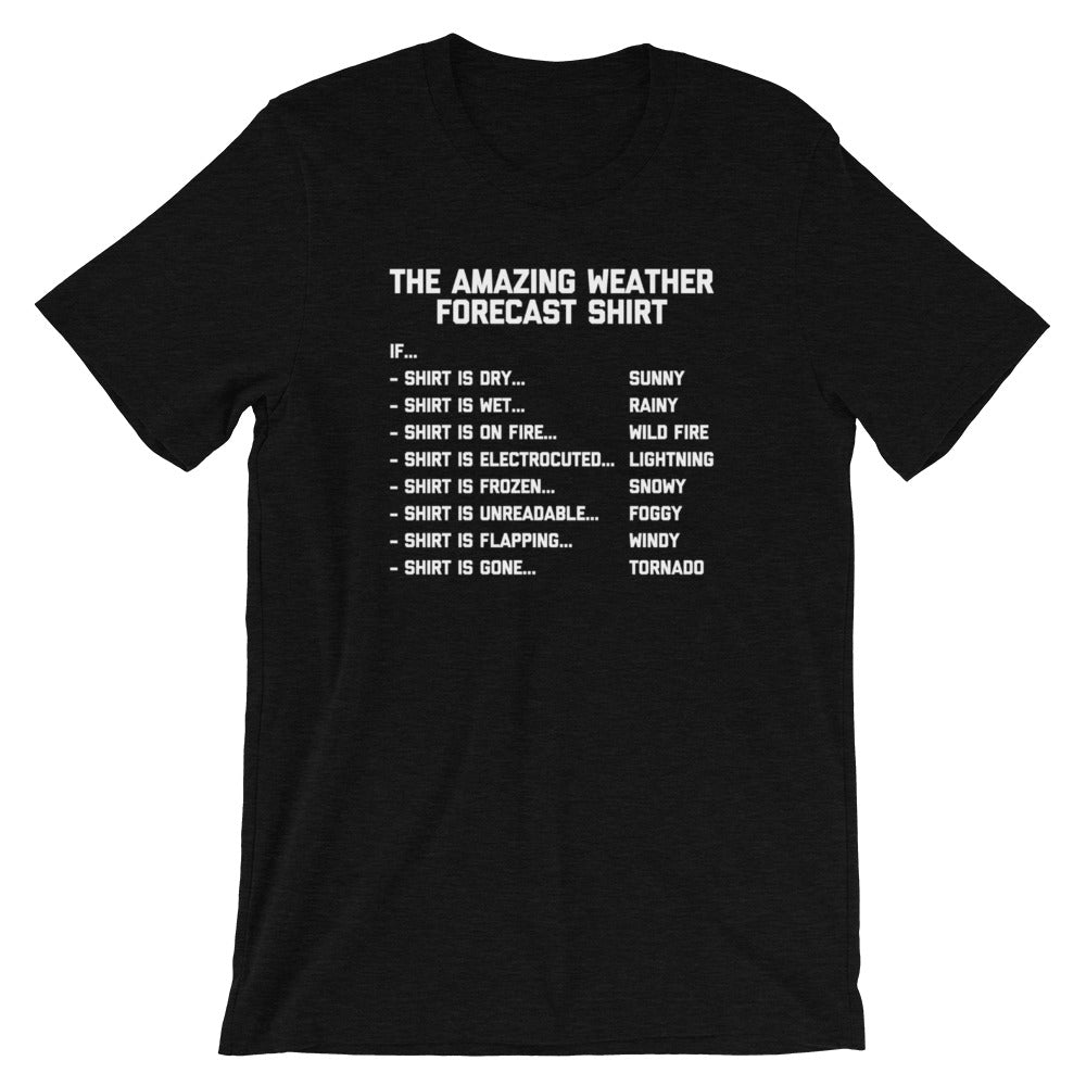 The Amazing Weather Forecast T-Shirt (Unisex) Hoodie, Sweatshirt | CiraTrend.com (Image 4)