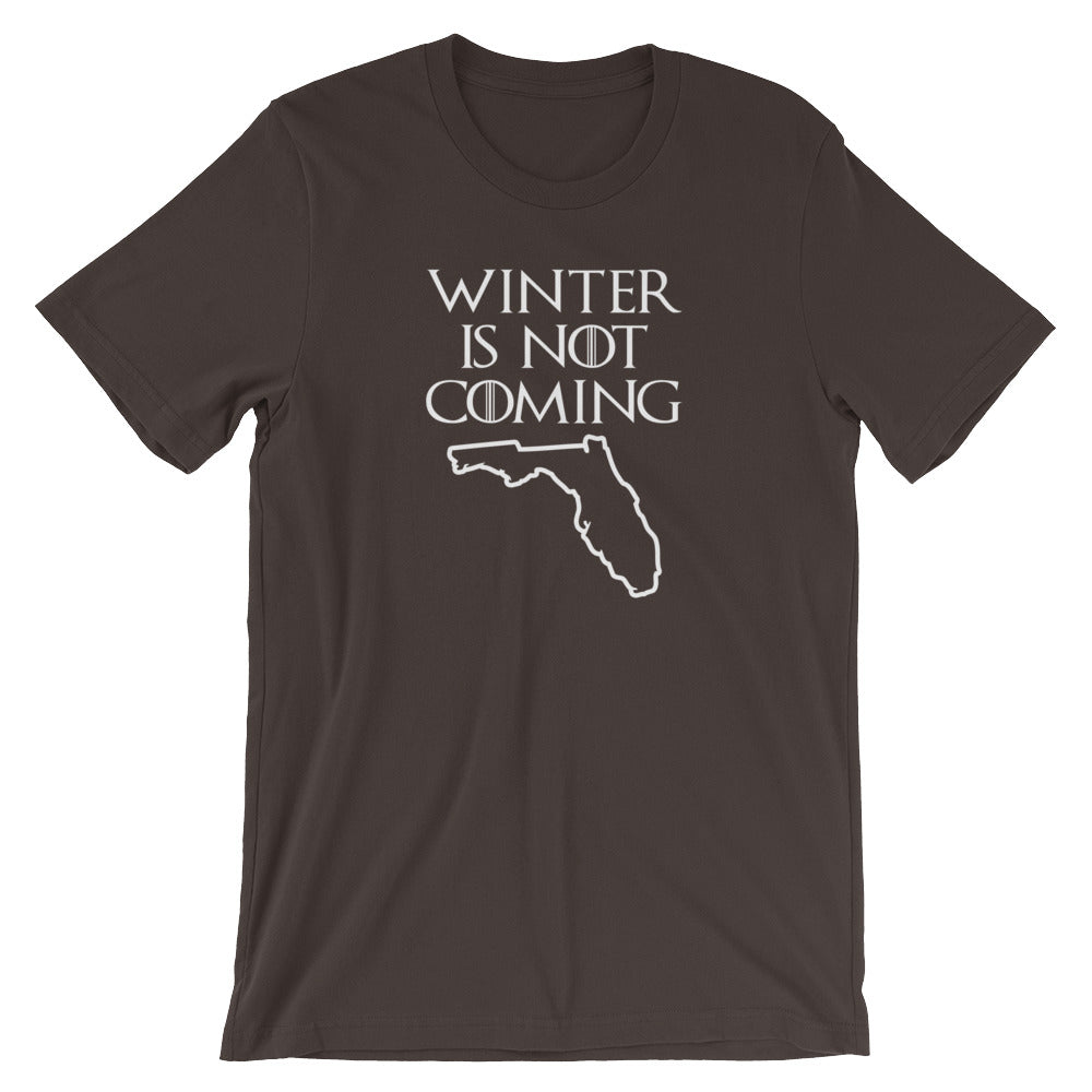 Winter Is Not Coming (Florida) () T-Shirts, Hoodie, Sweatshirt