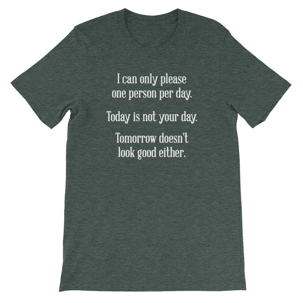 I Can Only Please One Person Per Day T-Shirt (Unisex) Hoodie, Sweatshirt | CiraTrend.com (Image 5)