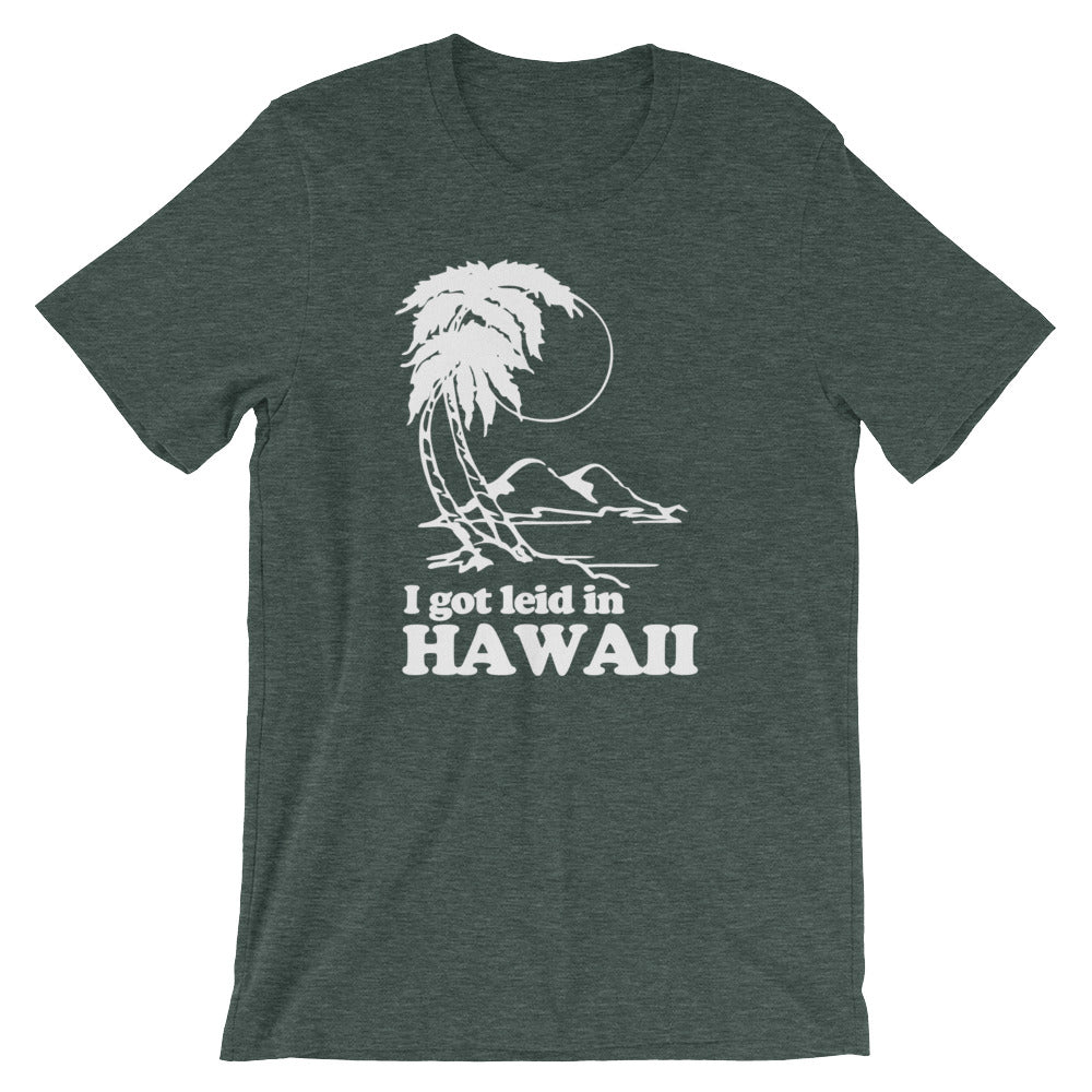I Got Leid In Hawaii T-Shirt (Unisex) Hoodie, Sweatshirt | CiraTrend.com (Image 5)
