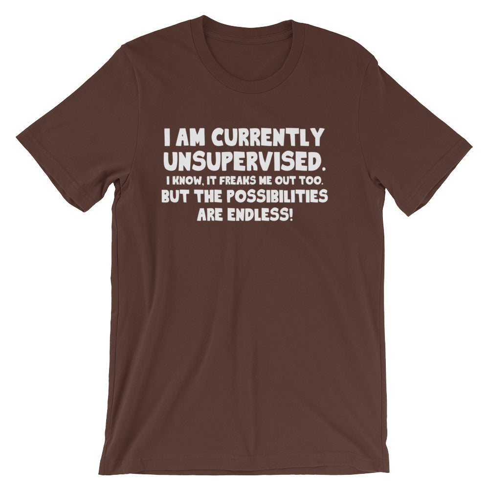 I Am Currently Unsupervised T-Shirt (Unisex) Hoodie, Sweatshirt | CiraTrend.com (Image 5)