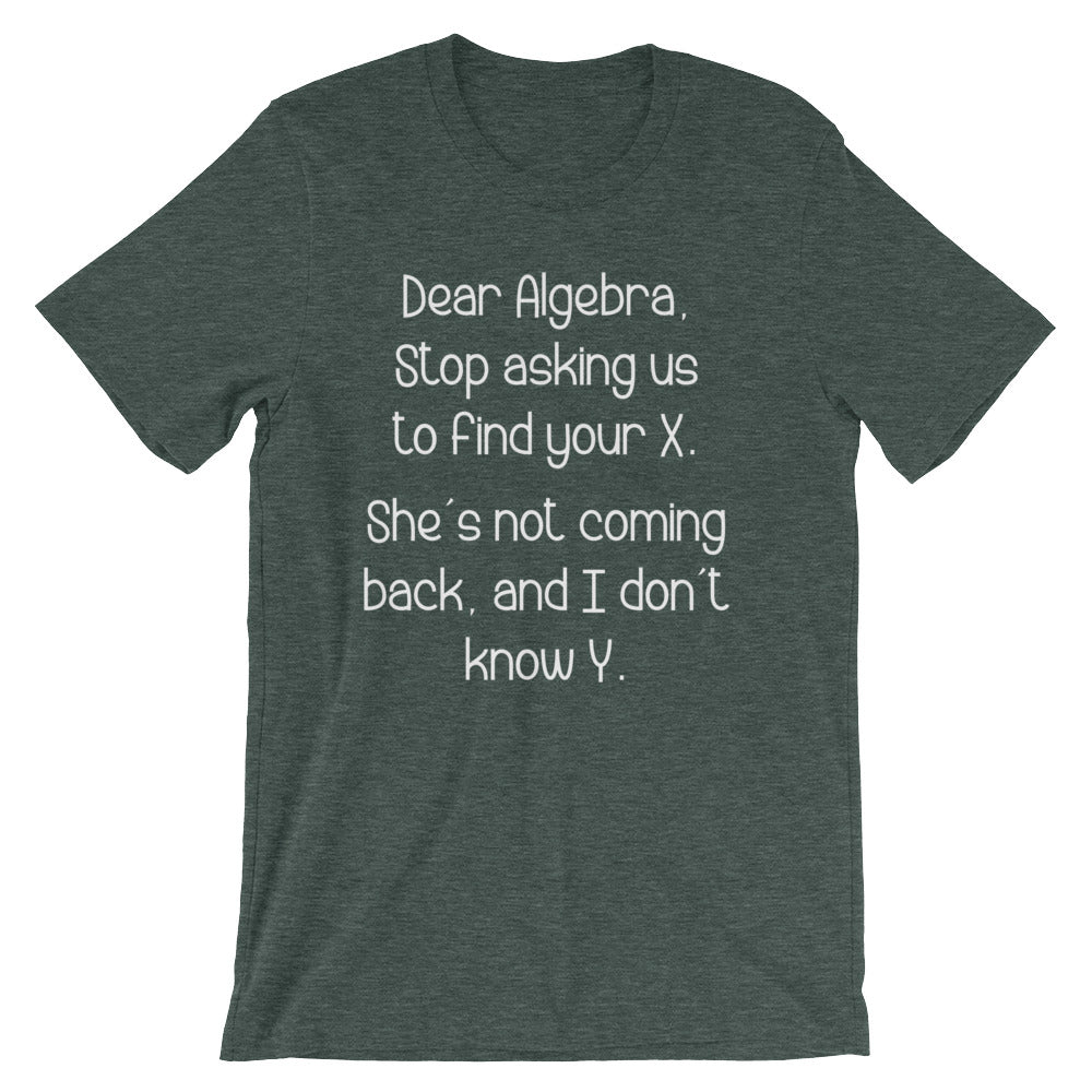 Dear Algebra T-Shirt (Unisex) Hoodie, Sweatshirt | CiraTrend.com (Image 5)
