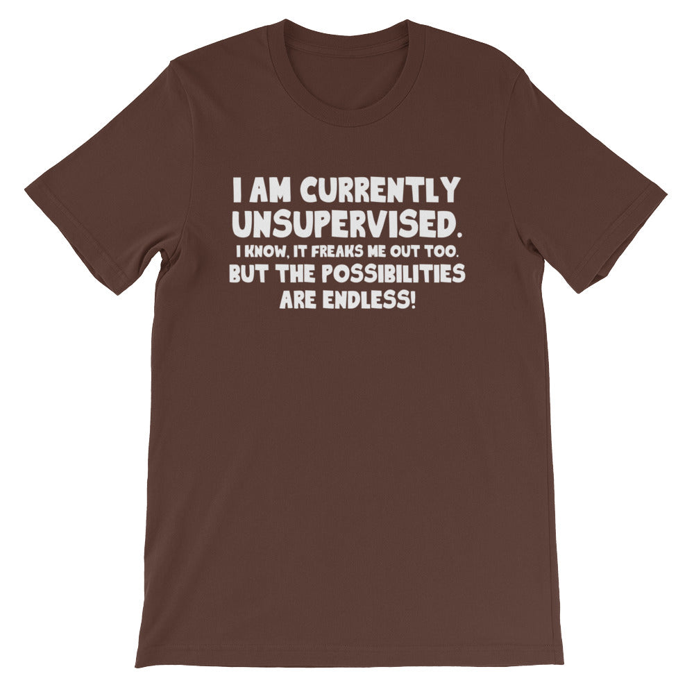 I Am Currently Unsupervised T-Shirt (Unisex) Hoodie, Sweatshirt | CiraTrend.com (Image 4)