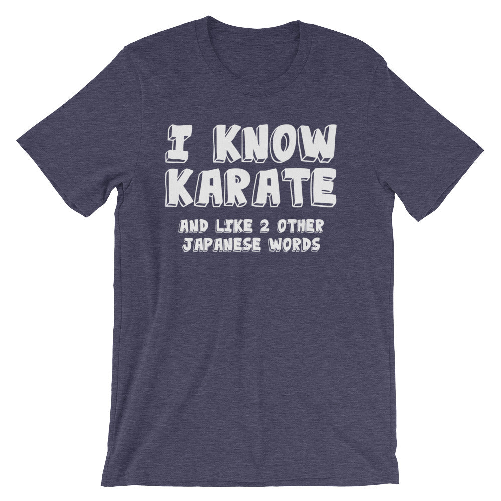 I Know Karate & Like 2 Other Japanese Words T-Shirt (Unisex) Hoodie, Sweatshirt | CiraTrend.com (Image 5)