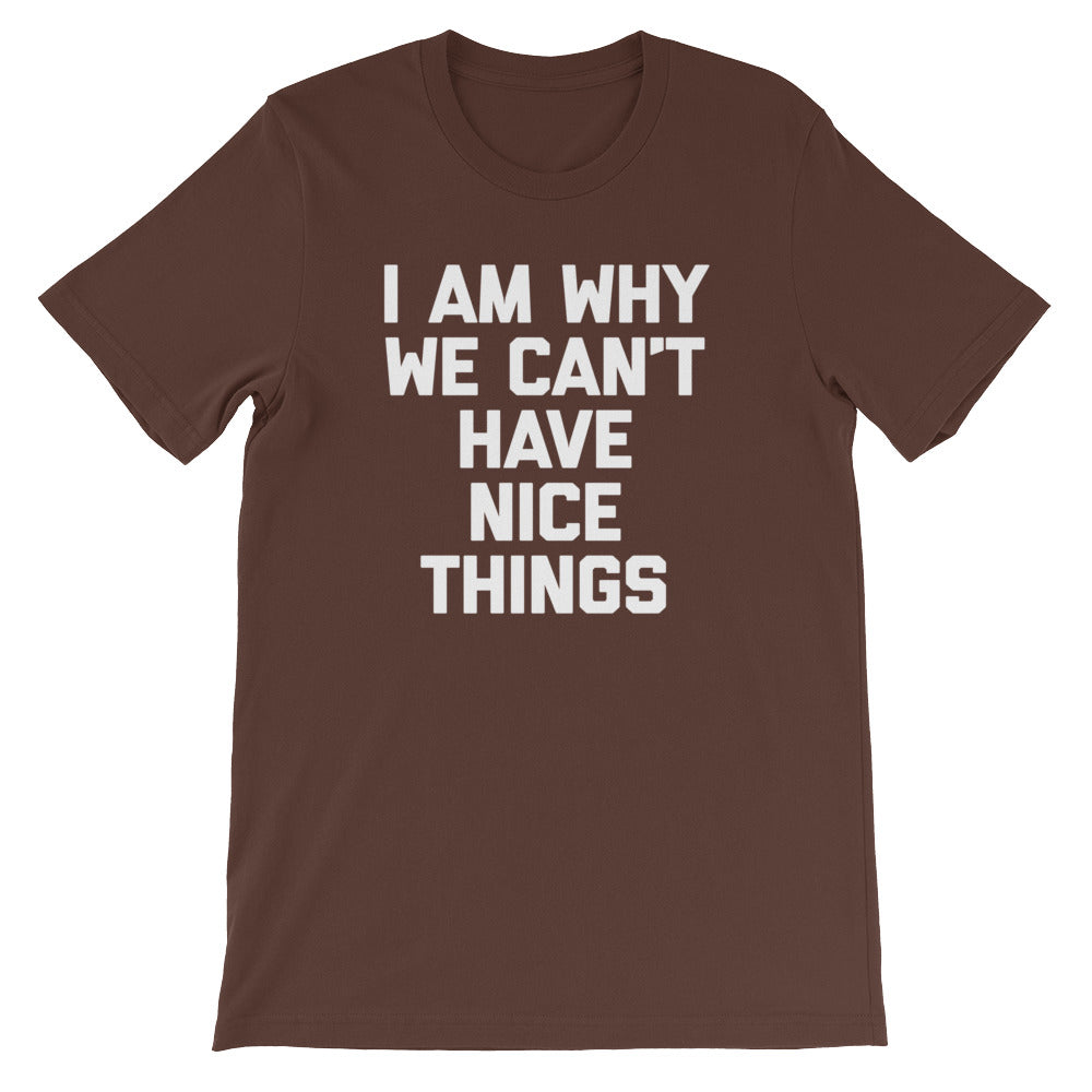 I Am Why We Can't Have Nice Things T-Shirt (Unisex) Hoodie, Sweatshirt | CiraTrend.com (Image 4)