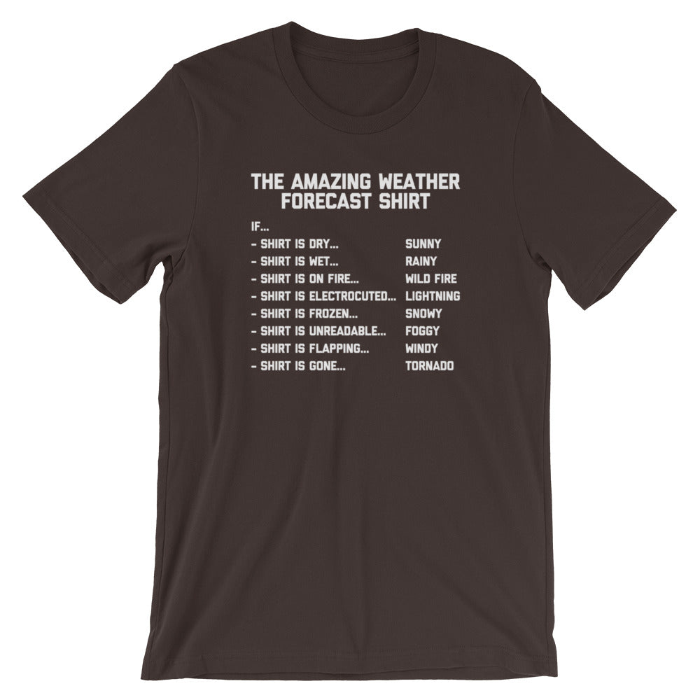 The Amazing Weather Forecast T-Shirt (Unisex) Hoodie, Sweatshirt | CiraTrend.com (Image 3)