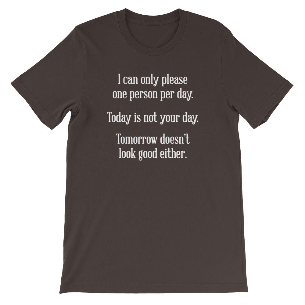 I Can Only Please One Person Per Day T-Shirt (Unisex) Hoodie, Sweatshirt | CiraTrend.com (Image 3)