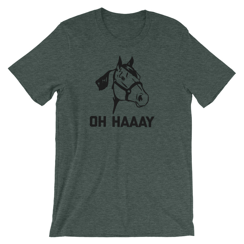 Oh Haaay T-Shirt (Unisex) Hoodie, Sweatshirt | CiraTrend.com (Image 4)