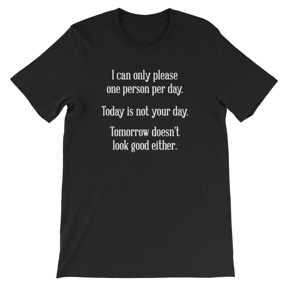 I Can Only Please One Person Per Day T-Shirt (Unisex) Hoodie, Sweatshirt | CiraTrend.com (Image 2)