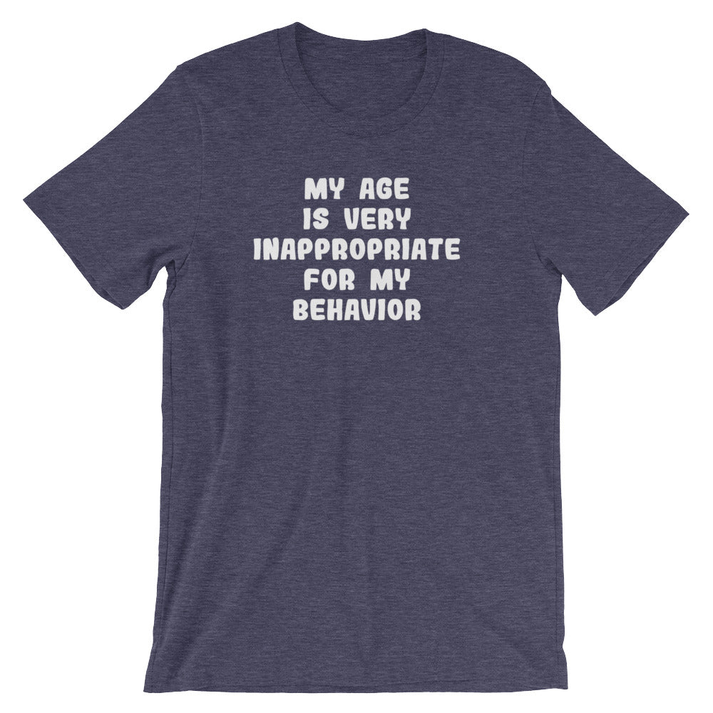 My Age Is Very Inappropriate For My Behavior T-Shirt (Unisex) Hoodie, Sweatshirt | CiraTrend.com (Image 1)