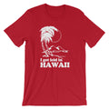 I Got Leid In Hawaii T-Shirt (Unisex) Hoodie, Sweatshirt | CiraTrend.com (Image 1)