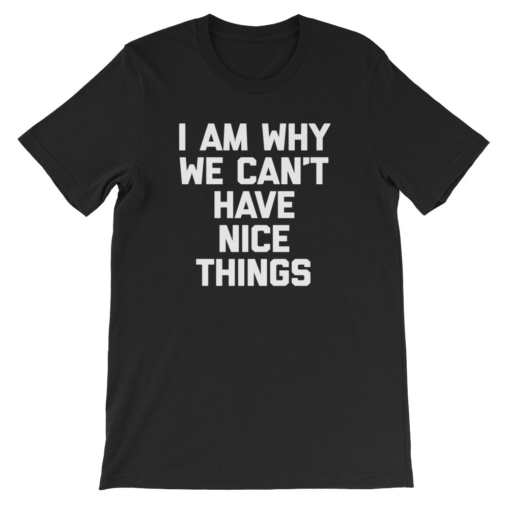 I Am Why We Can't Have Nice Things T-Shirt (Unisex) Hoodie, Sweatshirt | CiraTrend.com (Image 2)