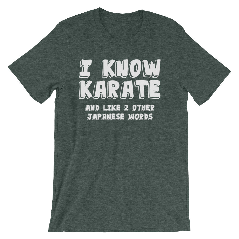 I Know Karate & Like 2 Other Japanese Words T-Shirt (Unisex) Hoodie, Sweatshirt | CiraTrend.com (Image 4)