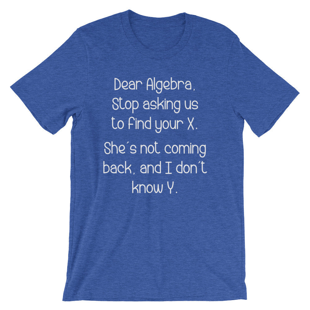 Dear Algebra T-Shirt (Unisex) Hoodie, Sweatshirt | CiraTrend.com (Image 1)