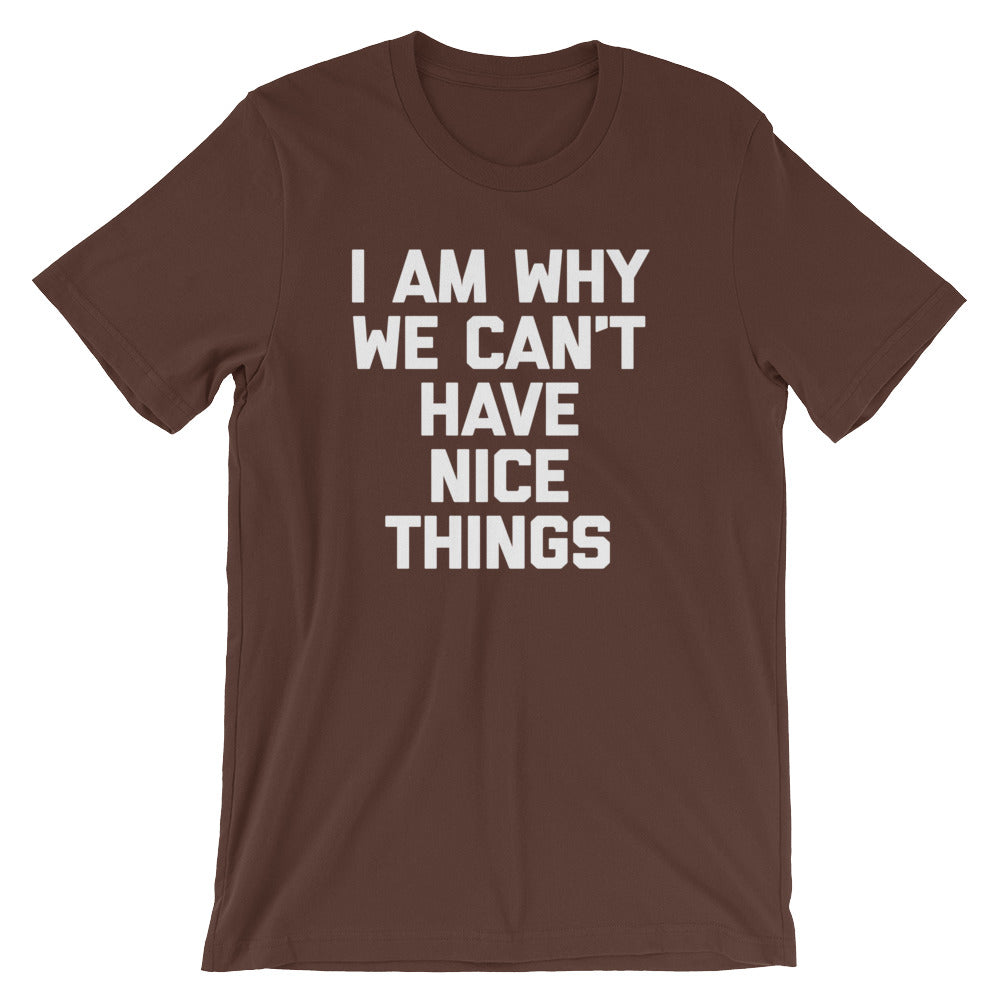 I Am Why We Can't Have Nice Things T-Shirt (Unisex) Hoodie, Sweatshirt | CiraTrend.com (Image 5)