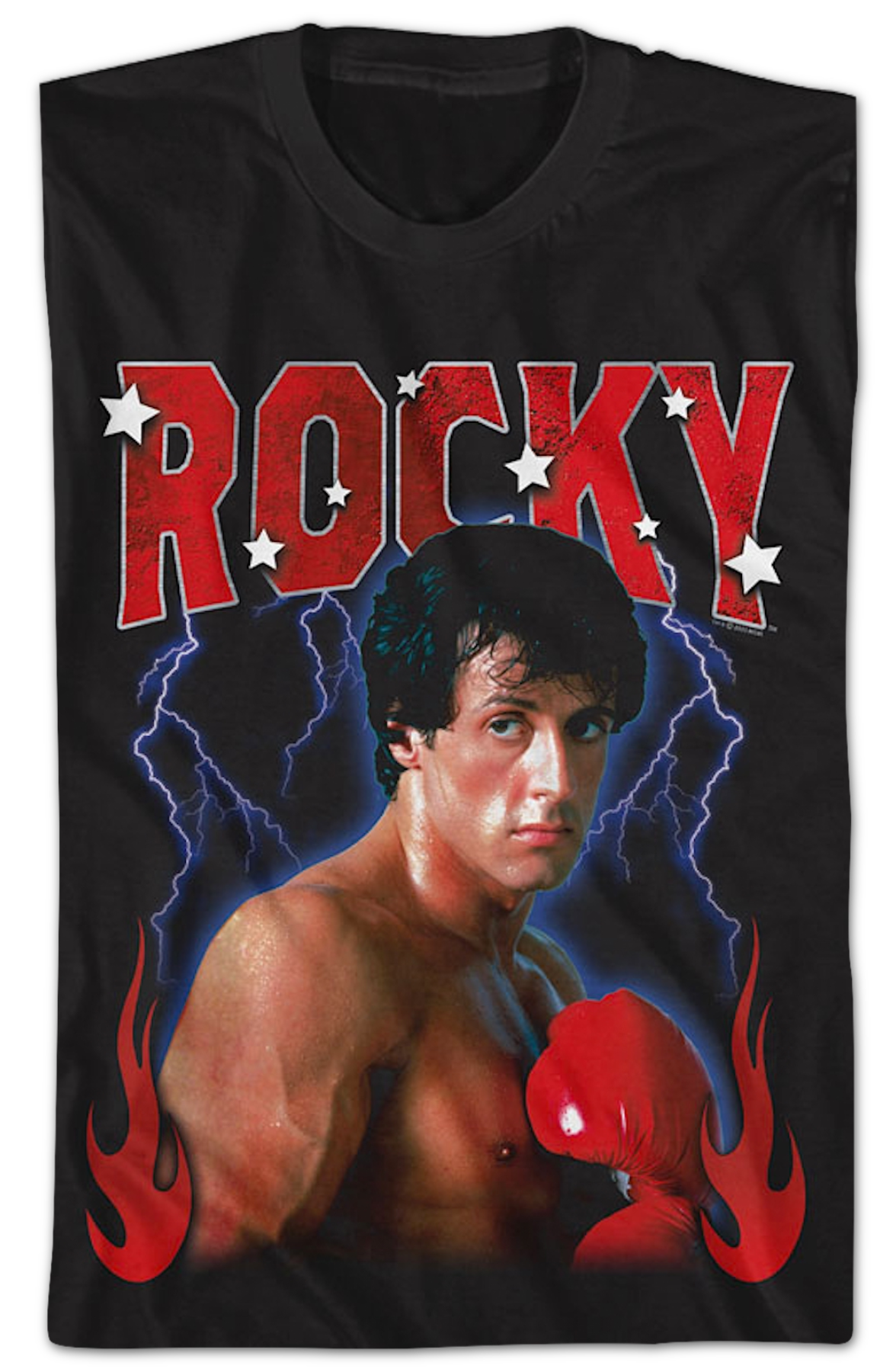 Natural Phenomenon Rocky T-Shirt Hoodie, Sweatshirt | CiraTrend.com (Image 2)