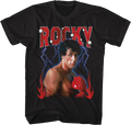 Natural Phenomenon Rocky T-Shirt Hoodie, Sweatshirt | CiraTrend.com (Image 1)