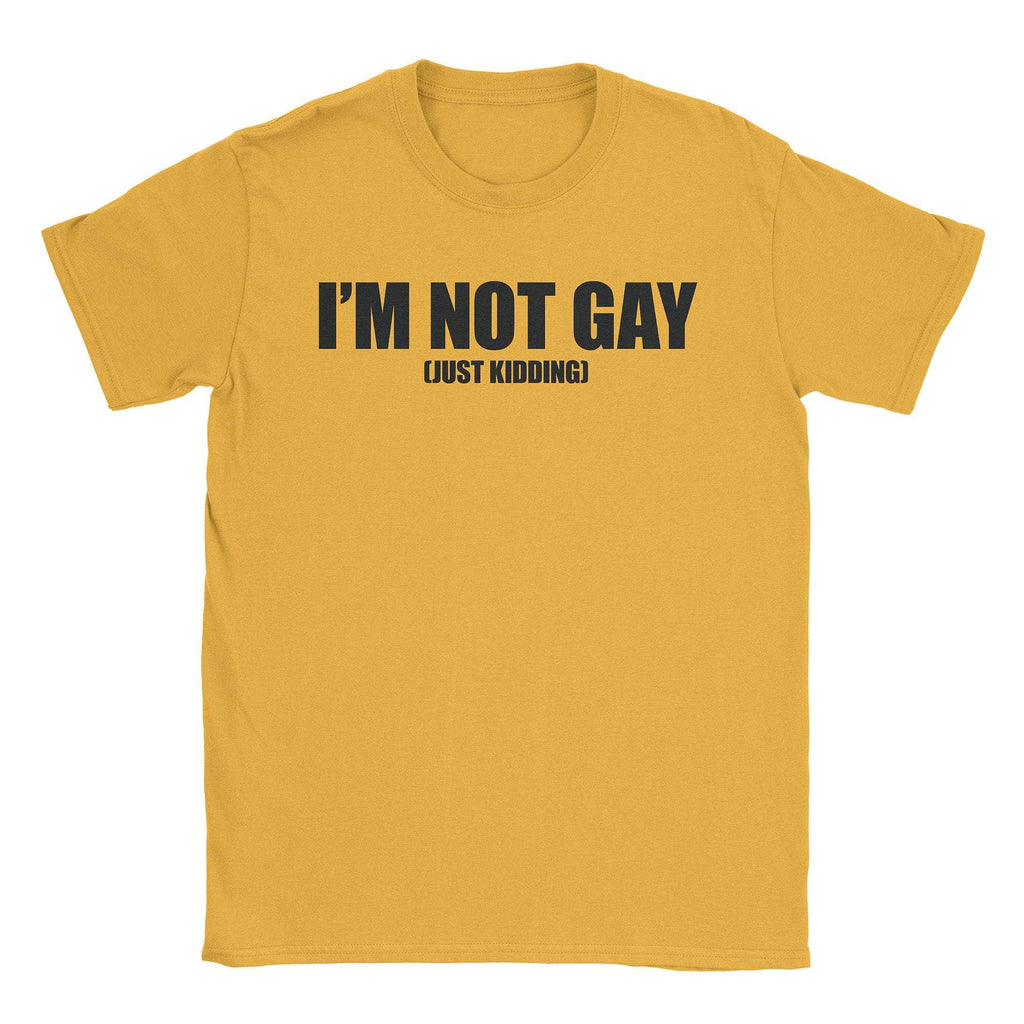 Not Gay T-Shirt Style001 Hoodie, Sweatshirt | CiraTrend.com (Image 4)