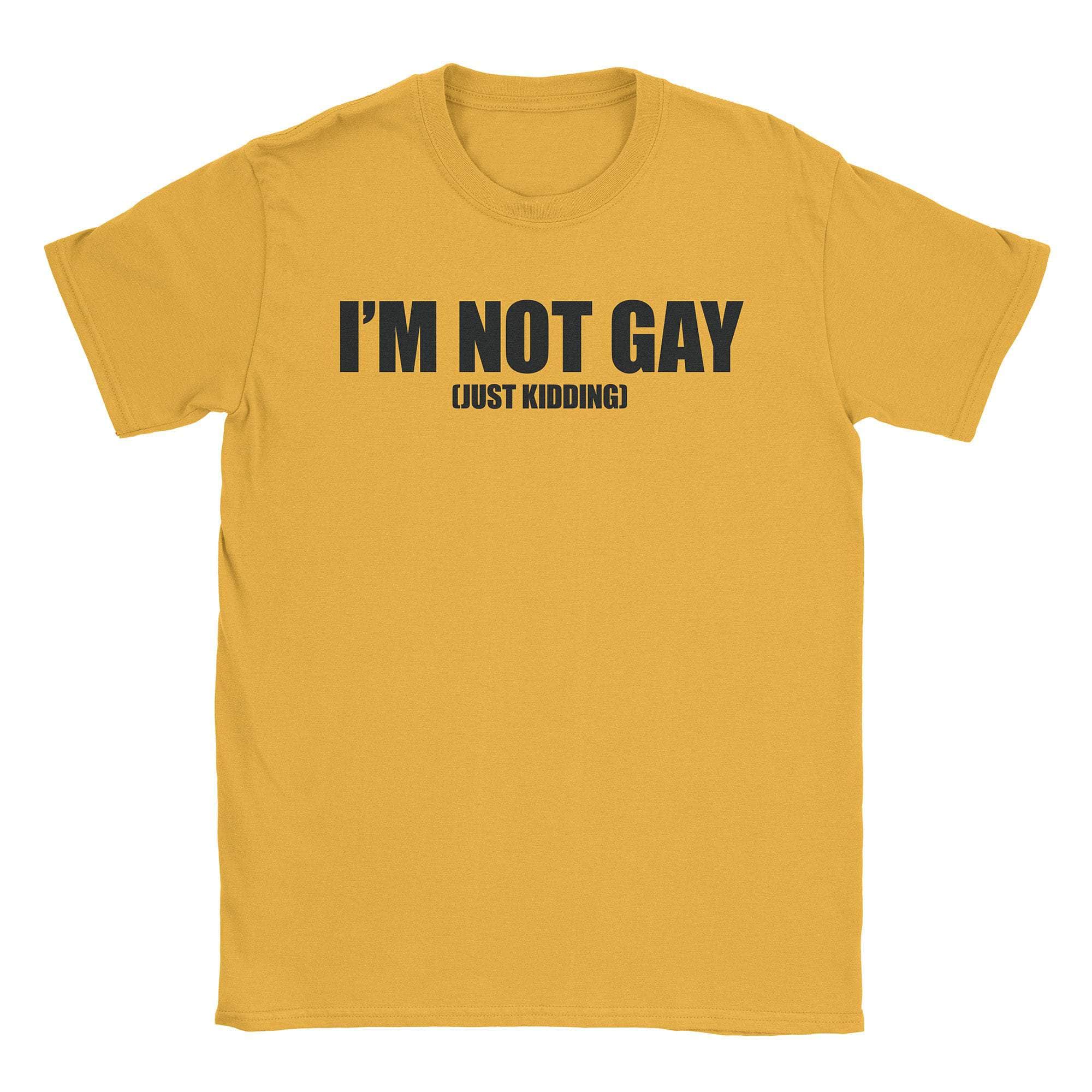 Not Gay T-Shirt Style001 Hoodie, Sweatshirt | CiraTrend.com (Image 4)