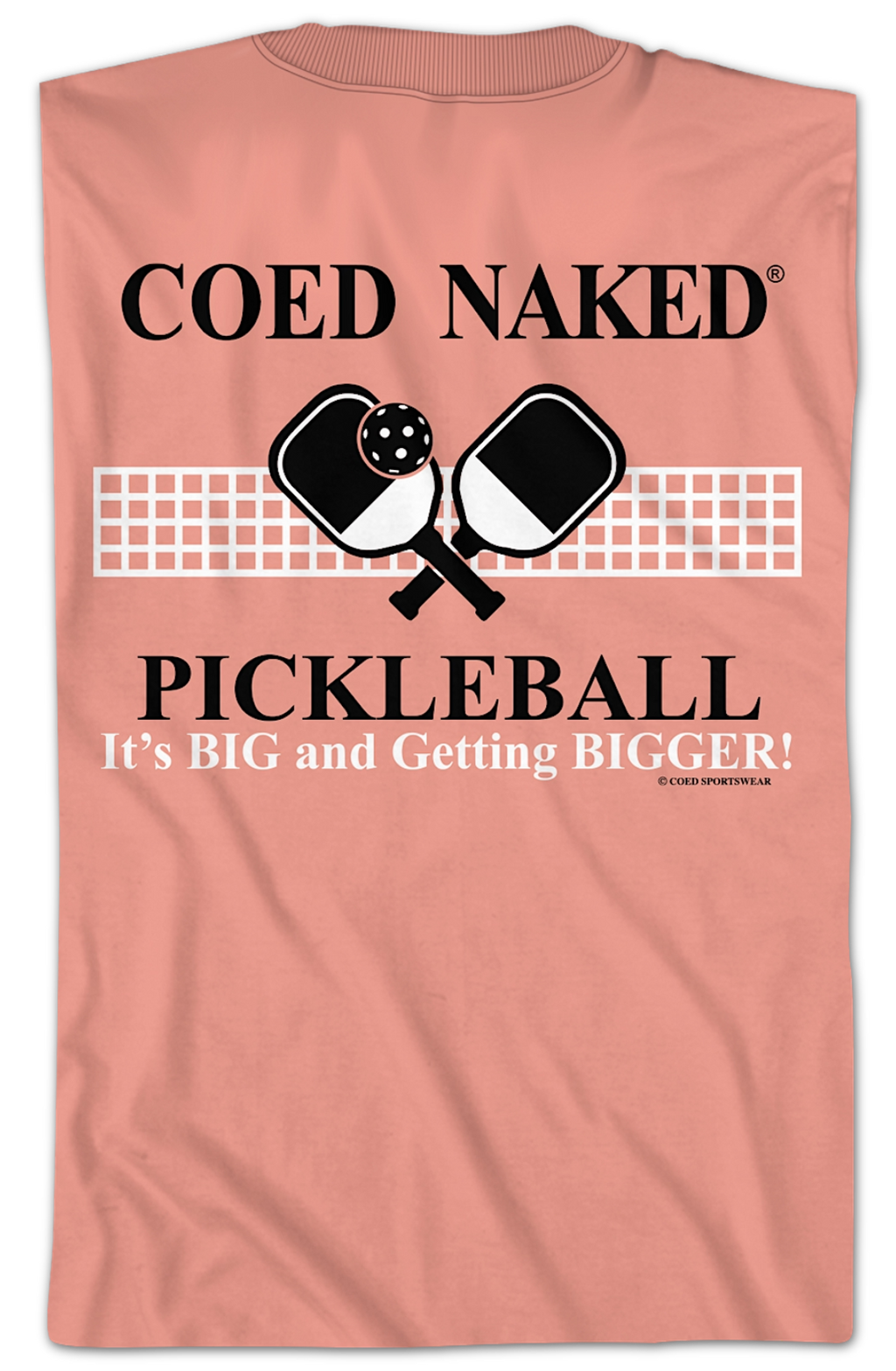 Pickleball Coed Naked T-Shirt Hoodie, Sweatshirt | CiraTrend.com (Image 2)