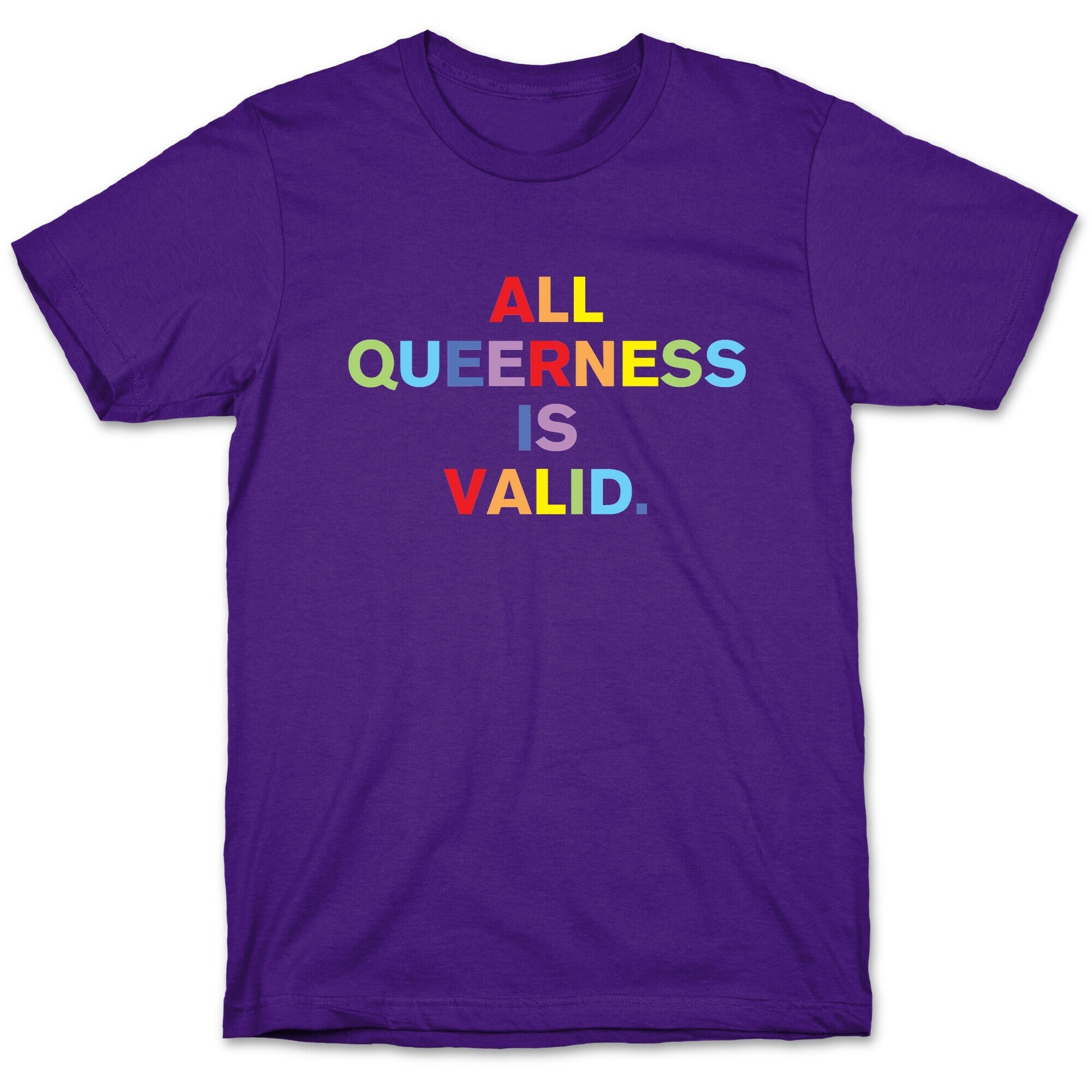 All Queerness is Valid T-Shirt