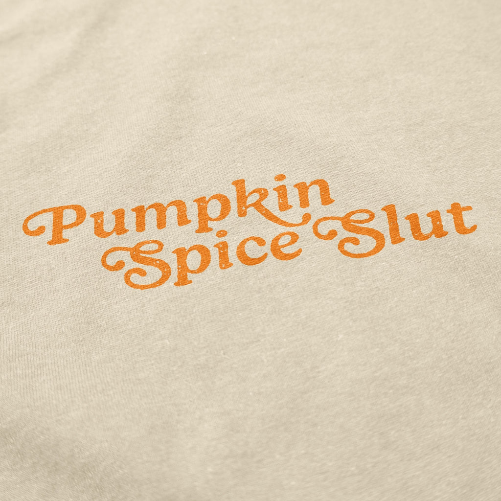 Pumpkin Spice Slut T Shirt Hoodie, Sweatshirt | CiraTrend.com (Image 2)