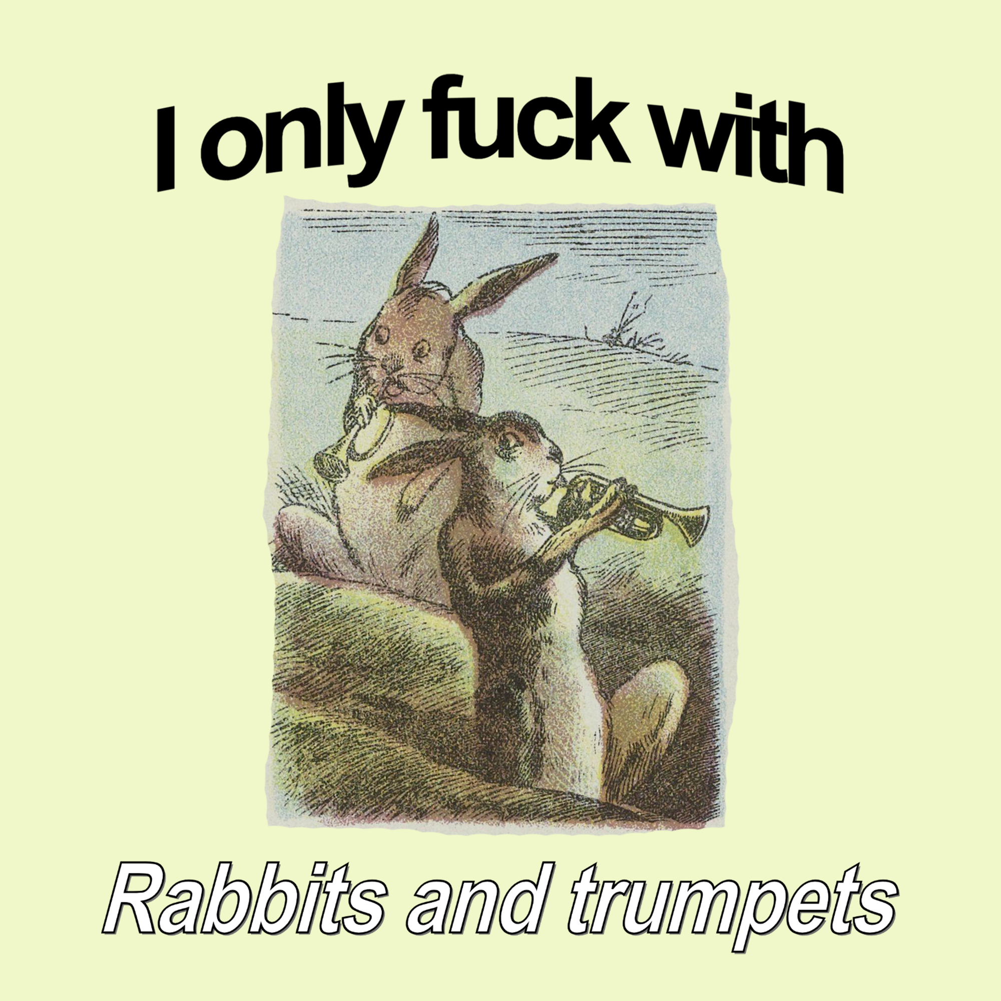 Rabbits and Trumpets Tee Hoodie, Sweatshirt | CiraTrend.com (Image 5)