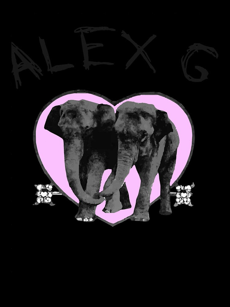 Girl Who Loves Alex G Vintage Retro by Peewnoise