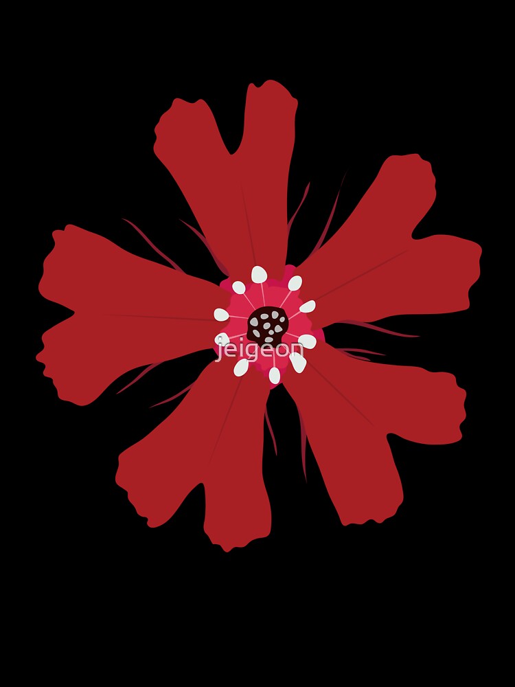 Brilliant Campion Flower by jeigeon