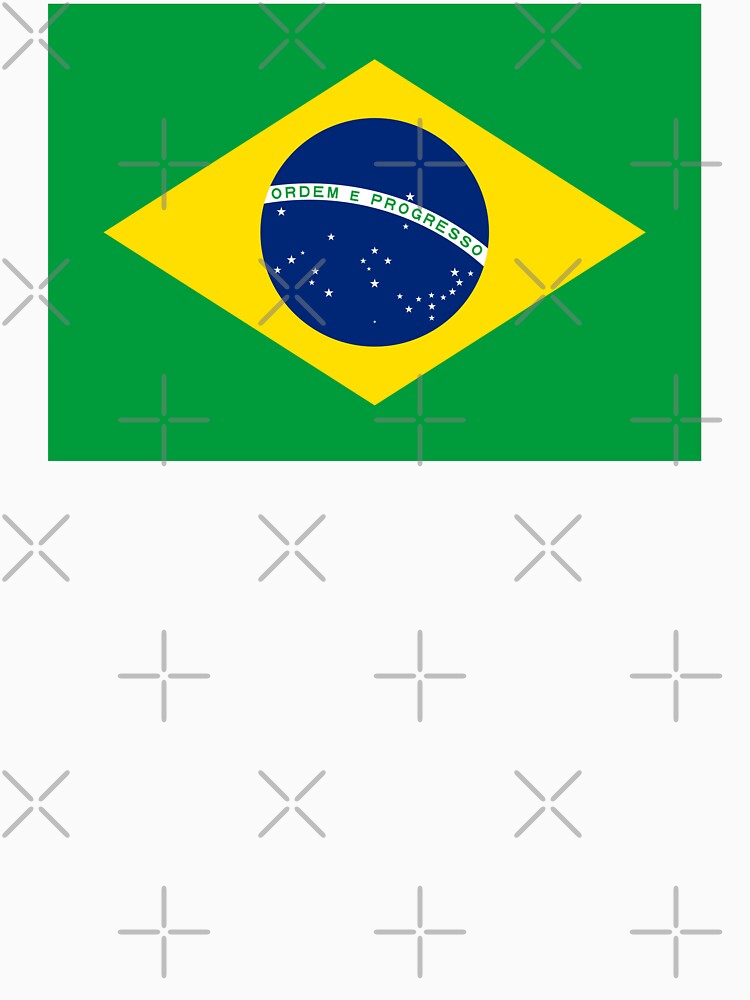 Brazilian Flag by AJ  Liber