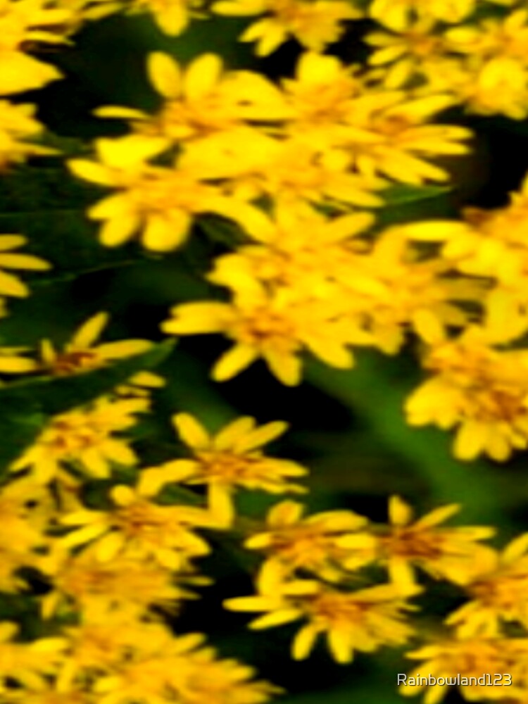 Beautiful Yellow Flowers by Rainbowland123