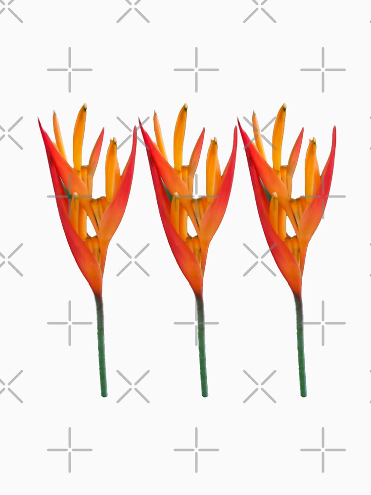 three orange flowers by rinamg