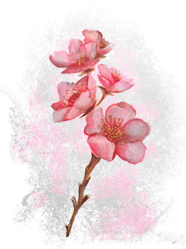 Pink Flowers by byanindya's mom_