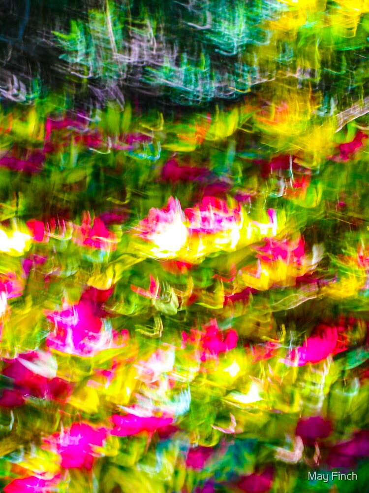 Abstract Flowers by May Finch