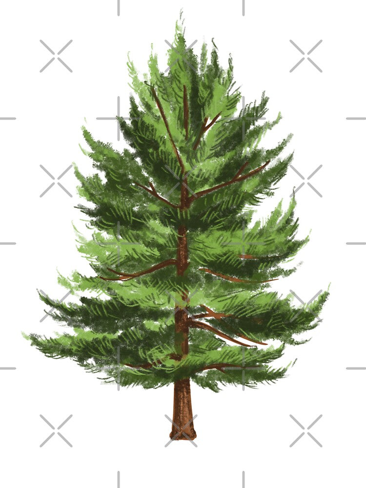 White Pine by SilviPavlova