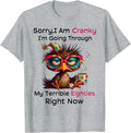 Sorry I Am Cranky I'm Going Through My Terrible Eighties T-Shirt
