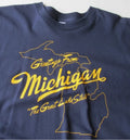 Sufjan Stevens Greetings From Michigan Unisex Cotton All Sizes T-Shirt