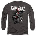 Tmnt Tmnt Raphael Long Sleeve T-Shirt S-2XL, Charcoal