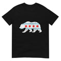Sweet Vintage Retro Chicago City Flag Bear Print T-Shirt